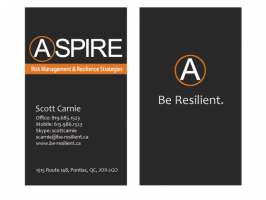 2 Aspire - Business Cards