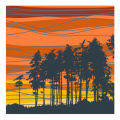 ruralstudiographics.com